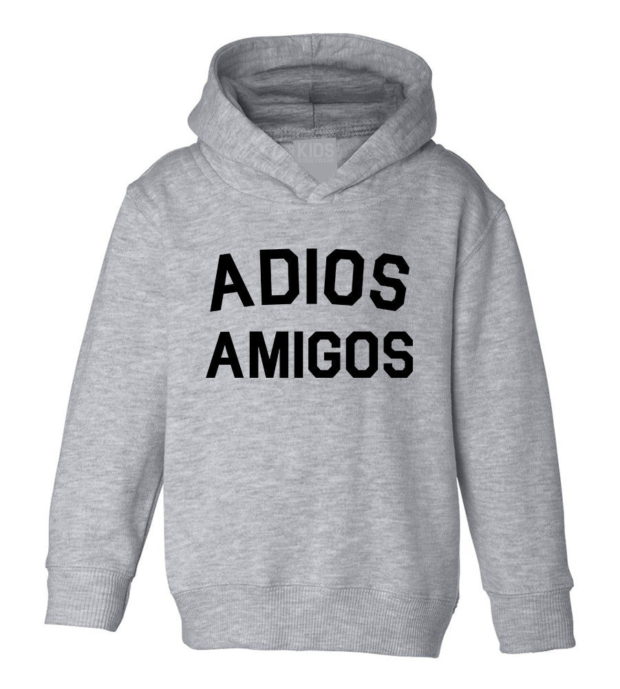 Adios Amigos Toddler Boys Pullover Hoodie Grey
