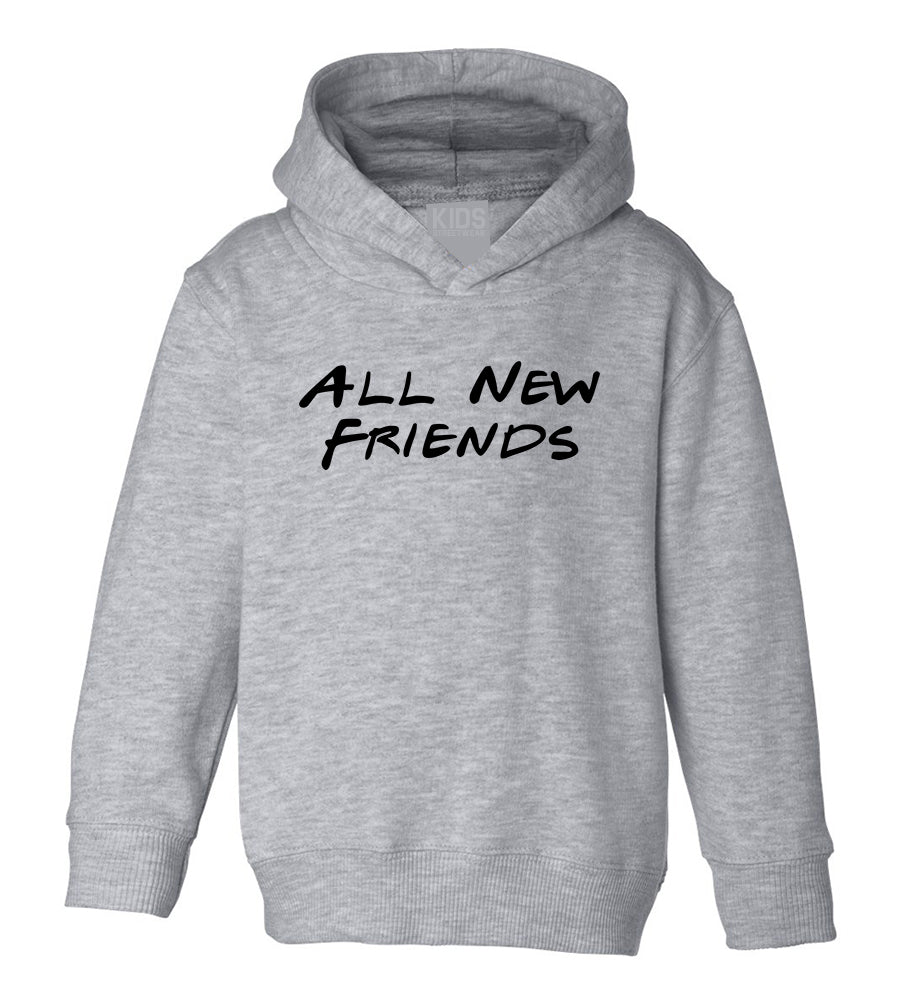 All New Friends Toddler Boys Pullover Hoodie Grey
