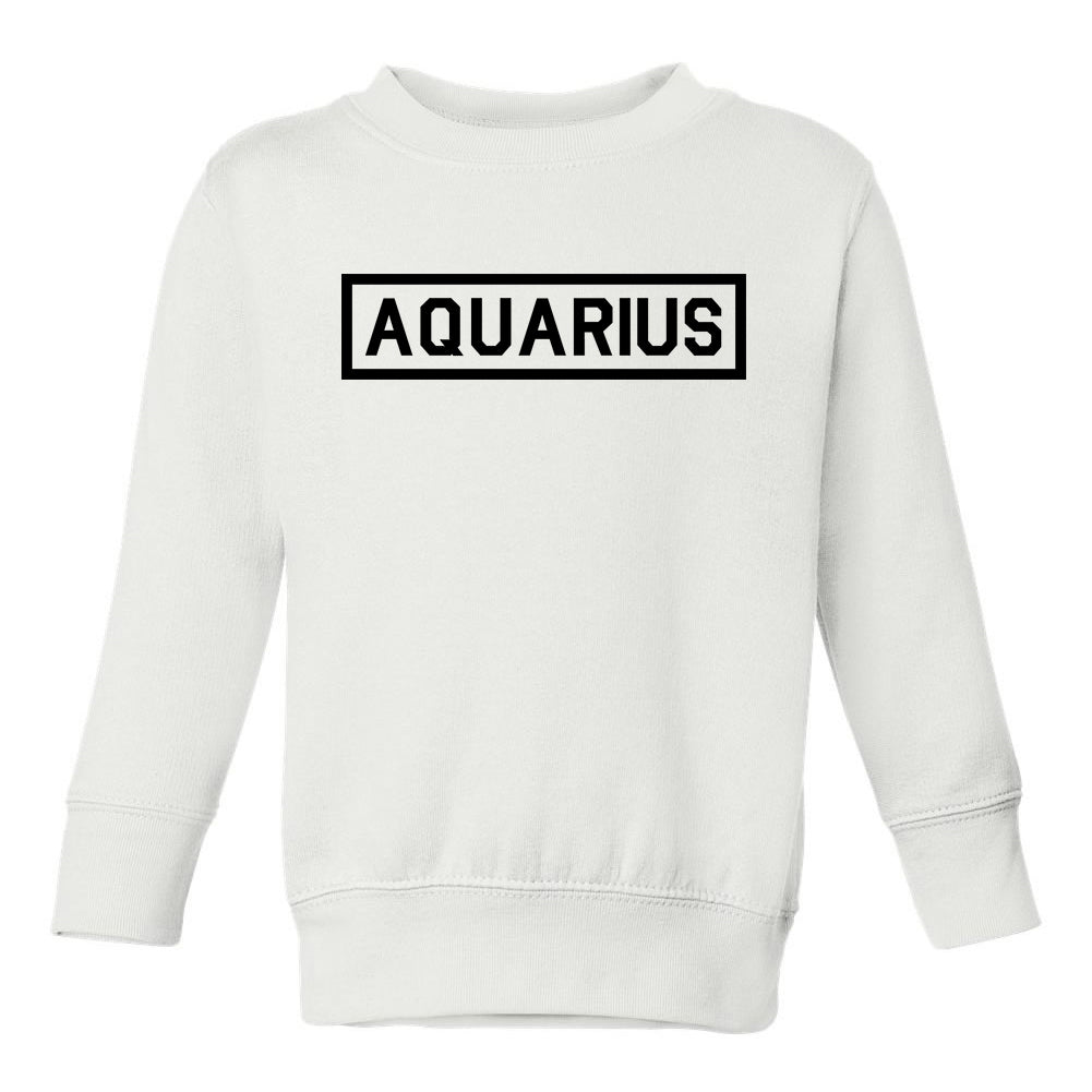 Aquarius Zodiac Sign Toddler Boys Crewneck Sweatshirt White