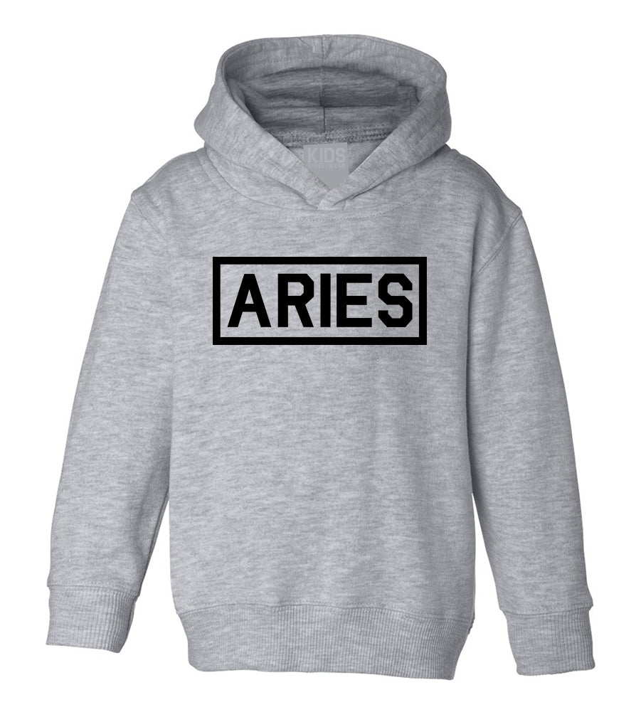 Aries Zodiac Sign Toddler Boys Pullover Hoodie Grey
