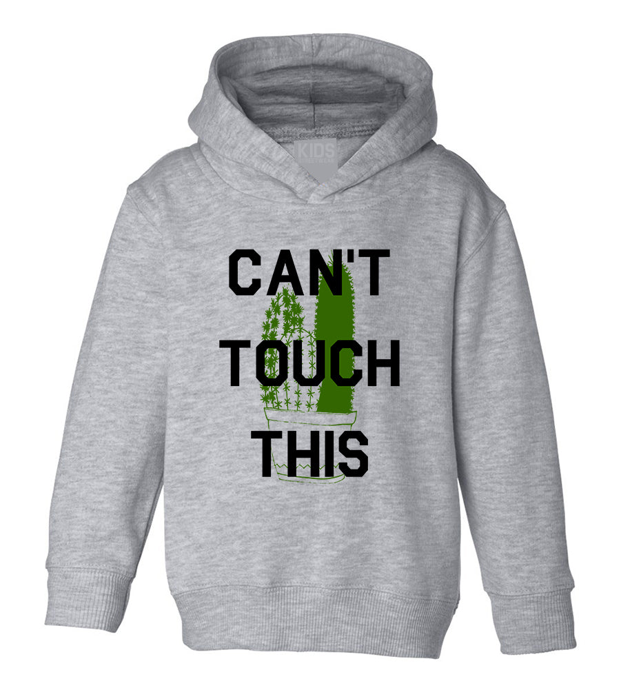 Cant Touch This Cactus Toddler Boys Pullover Hoodie Grey