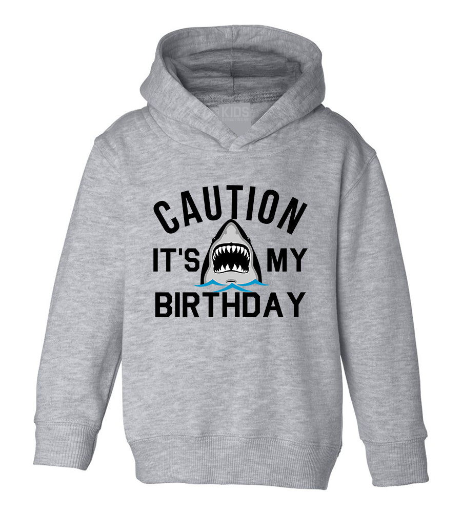Caution Its My Birthday Shark Toddler Boys Pullover Hoodie Grey