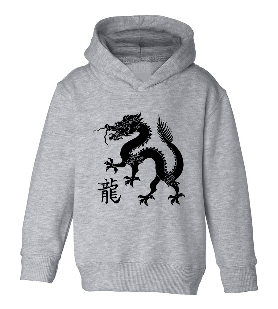 Chinese Bearded Dragon With Symbol Toddler Boys Pullover Hoodie Grey