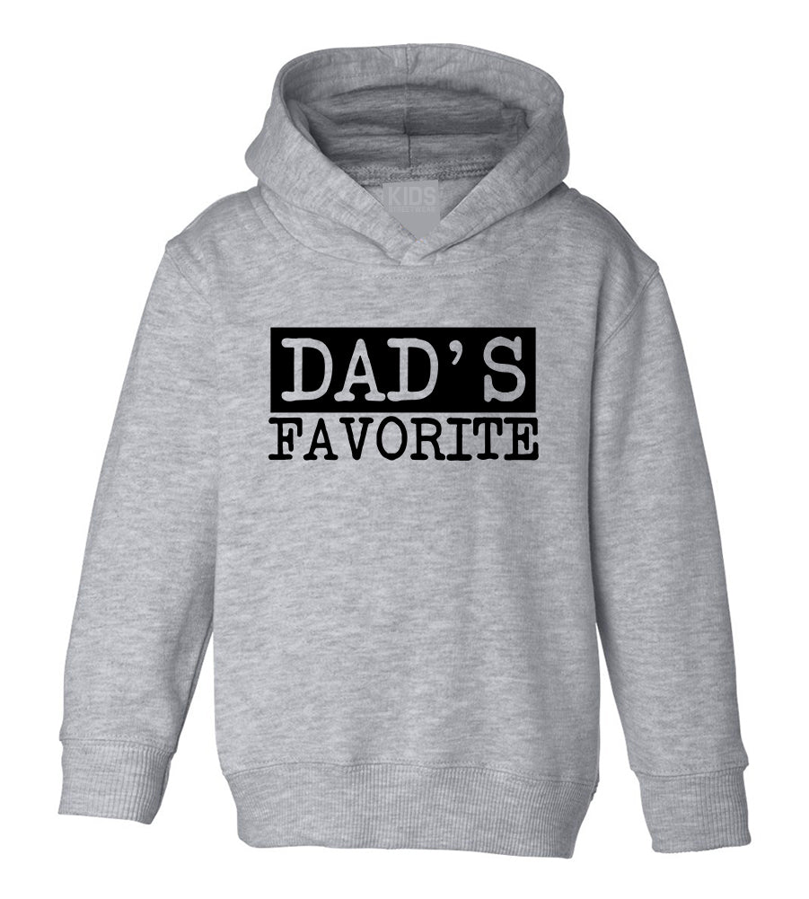 Dads Favorite Toddler Boys Pullover Hoodie Grey