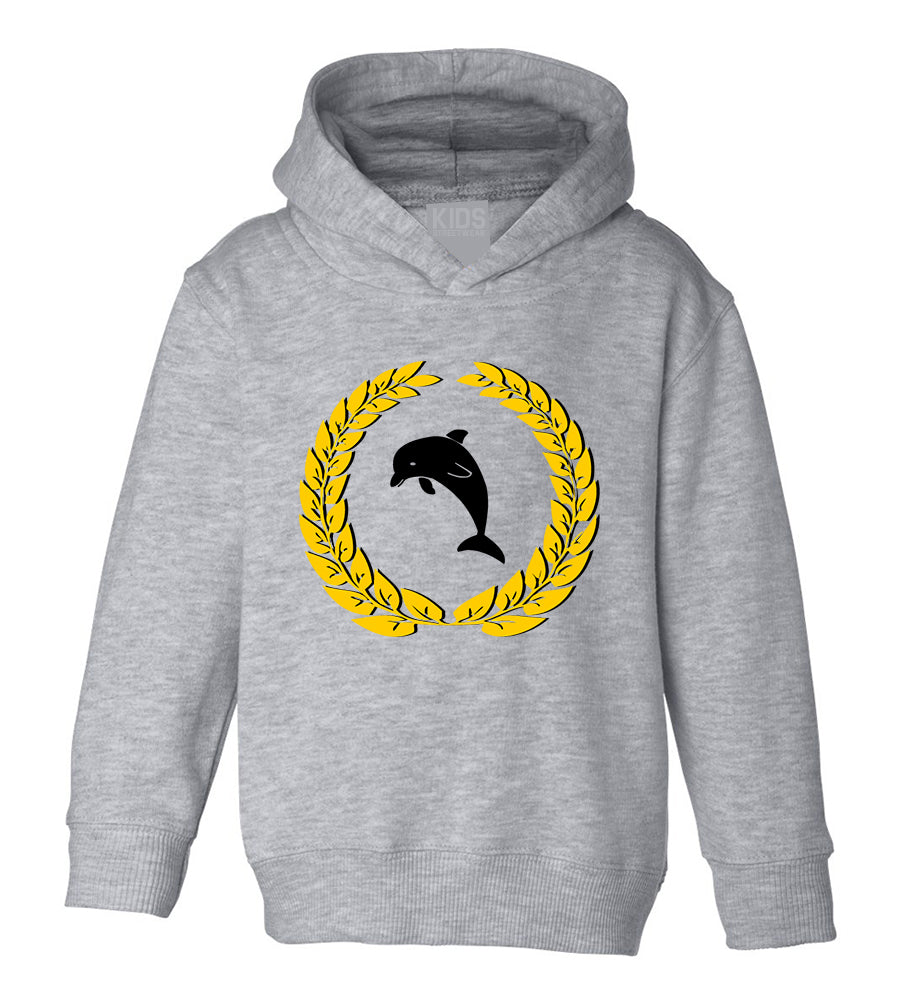 Dolphin Emblem Toddler Boys Pullover Hoodie Grey