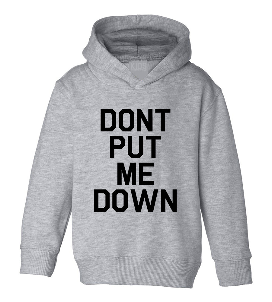Dont Put Me Down Toddler Boys Pullover Hoodie Grey