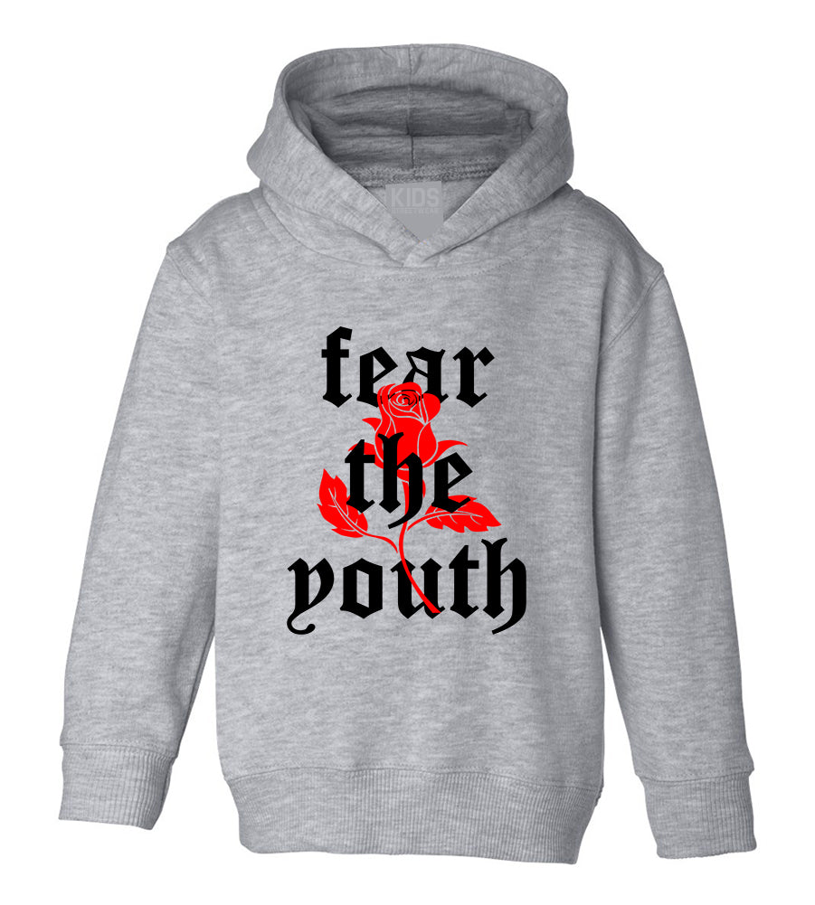 Fear The Youth Rose Toddler Boys Pullover Hoodie Grey