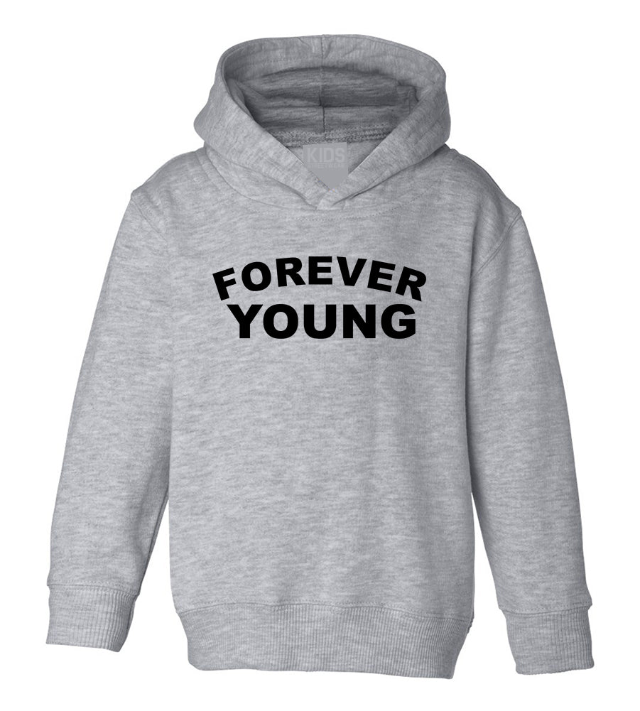 Forever Young Toddler Boys Pullover Hoodie Grey