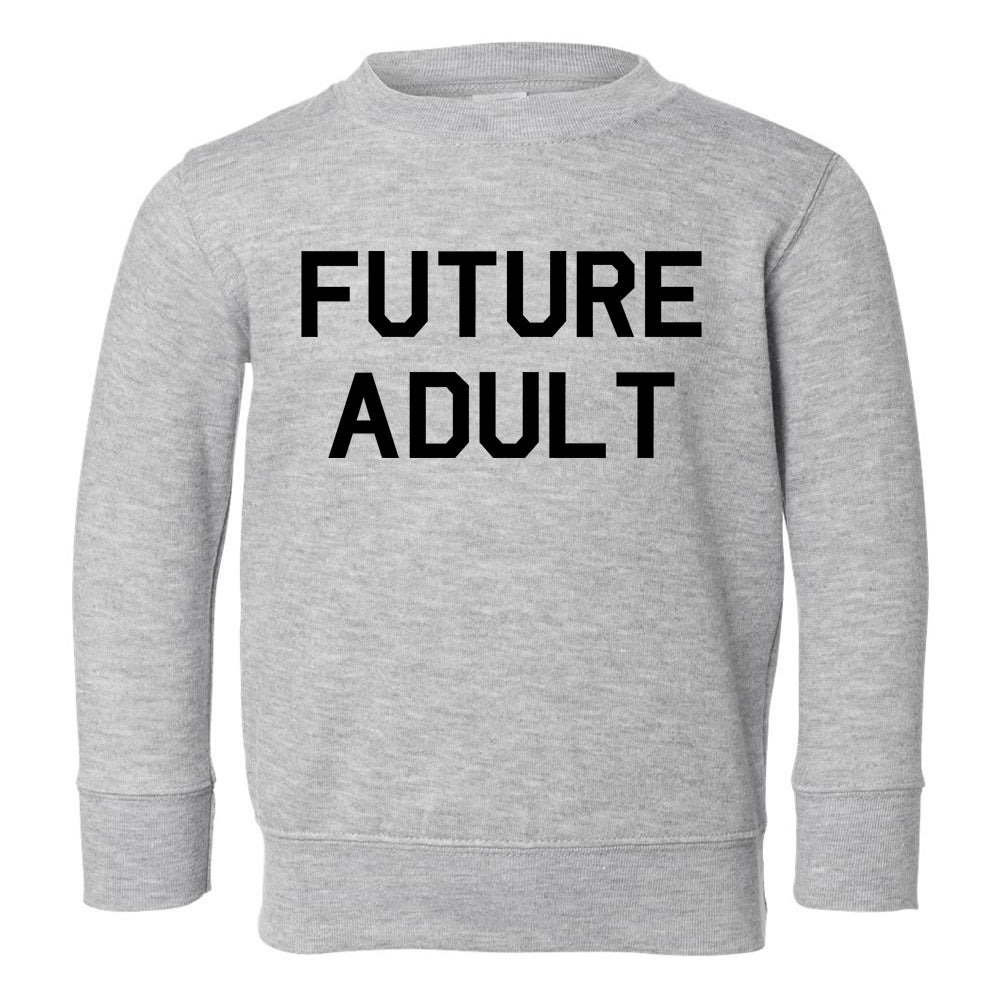 Future Adult Funny Toddler Boys Crewneck Sweatshirt Grey