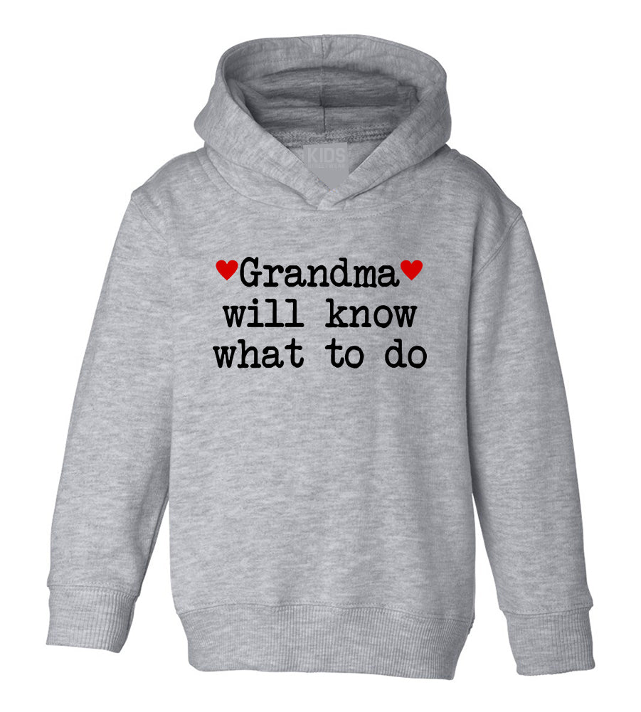 Grandma Will Know What To Do Heart Toddler Boys Pullover Hoodie Grey