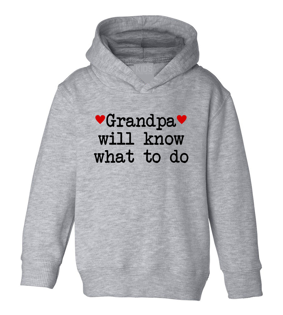 Grandpa Will Know What To Do Heart Toddler Boys Pullover Hoodie Grey