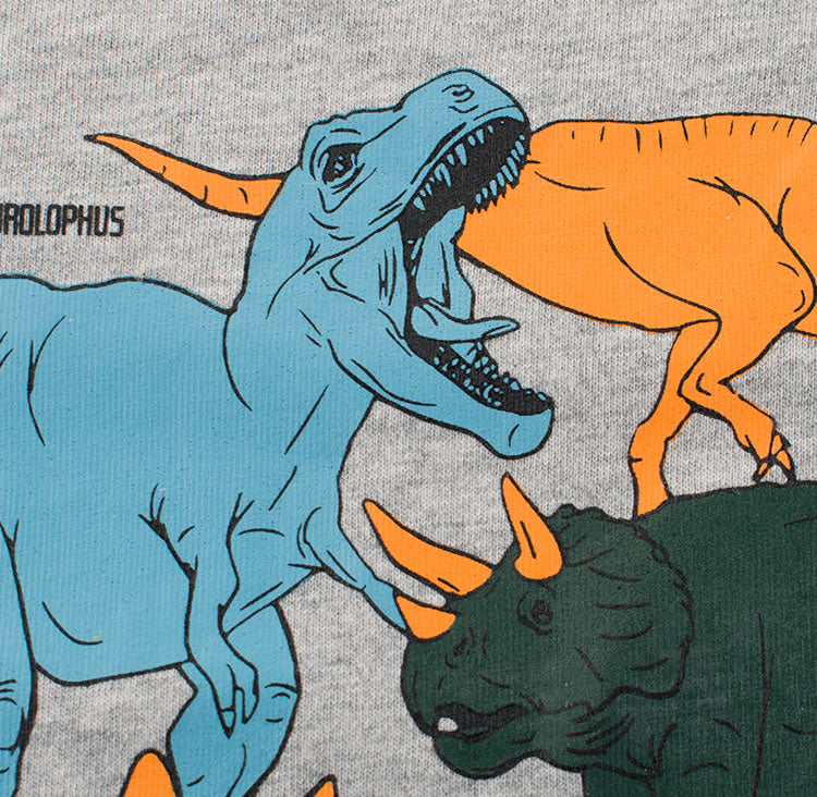 Dinosaur Birthday Toddler Long Sleeve T Shirt