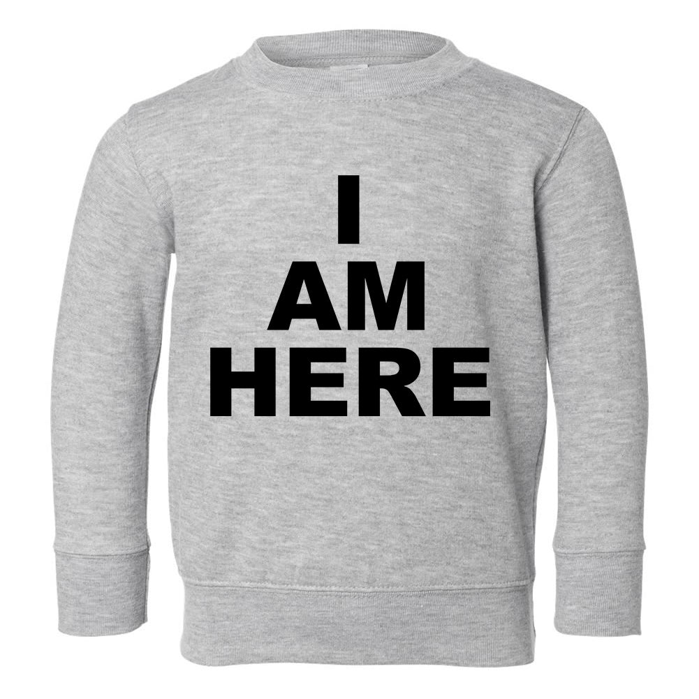 I Am Here Arrival Toddler Boys Crewneck Sweatshirt Grey