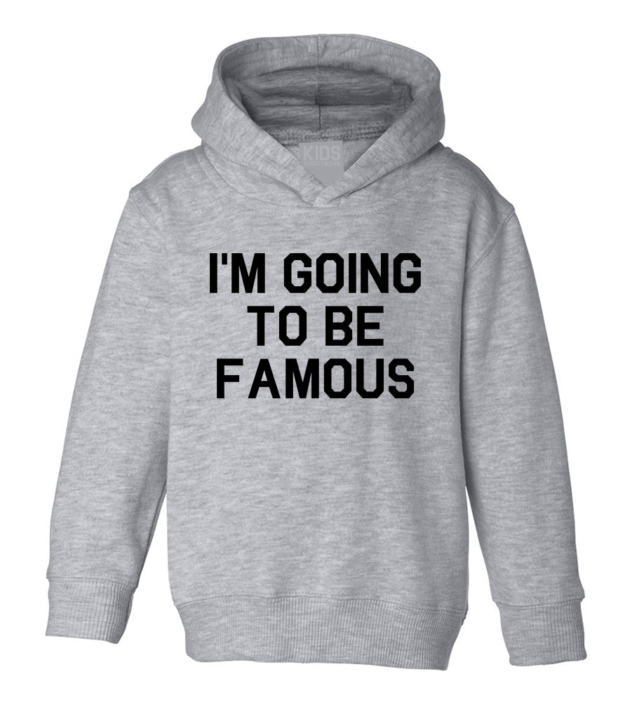 Im Going To Be Famous Toddler Boys Pullover Hoodie Grey