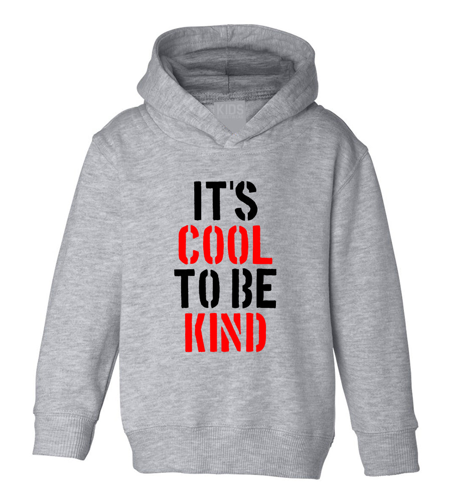 Its Cool To Be Kind Toddler Boys Pullover Hoodie Grey