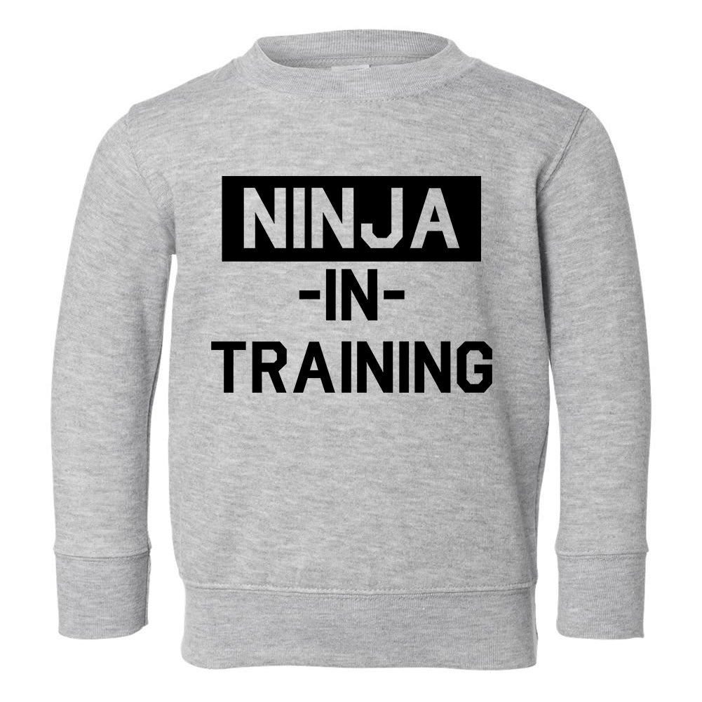 Ninja In Training Toddler Boys Crewneck Sweatshirt Grey