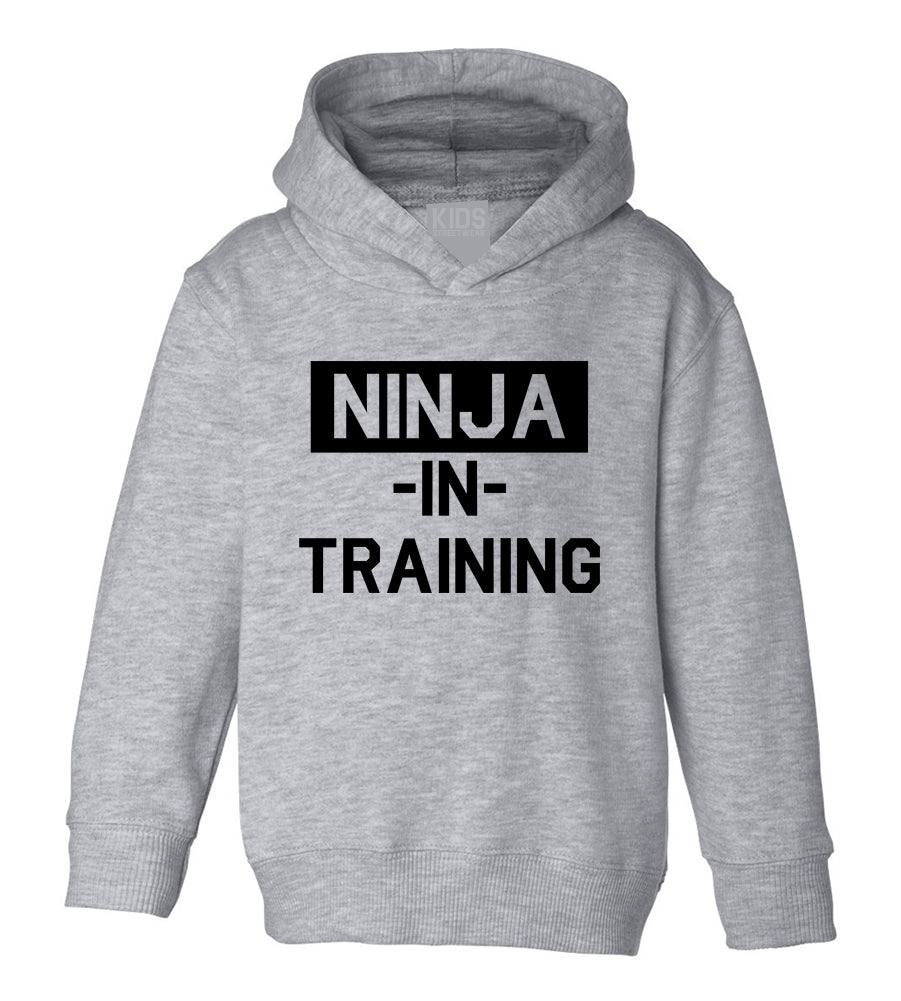 Ninja In Training Toddler Boys Pullover Hoodie Grey