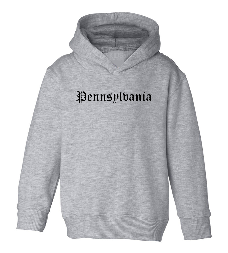 Pennsylvania State Old English Toddler Boys Pullover Hoodie Grey