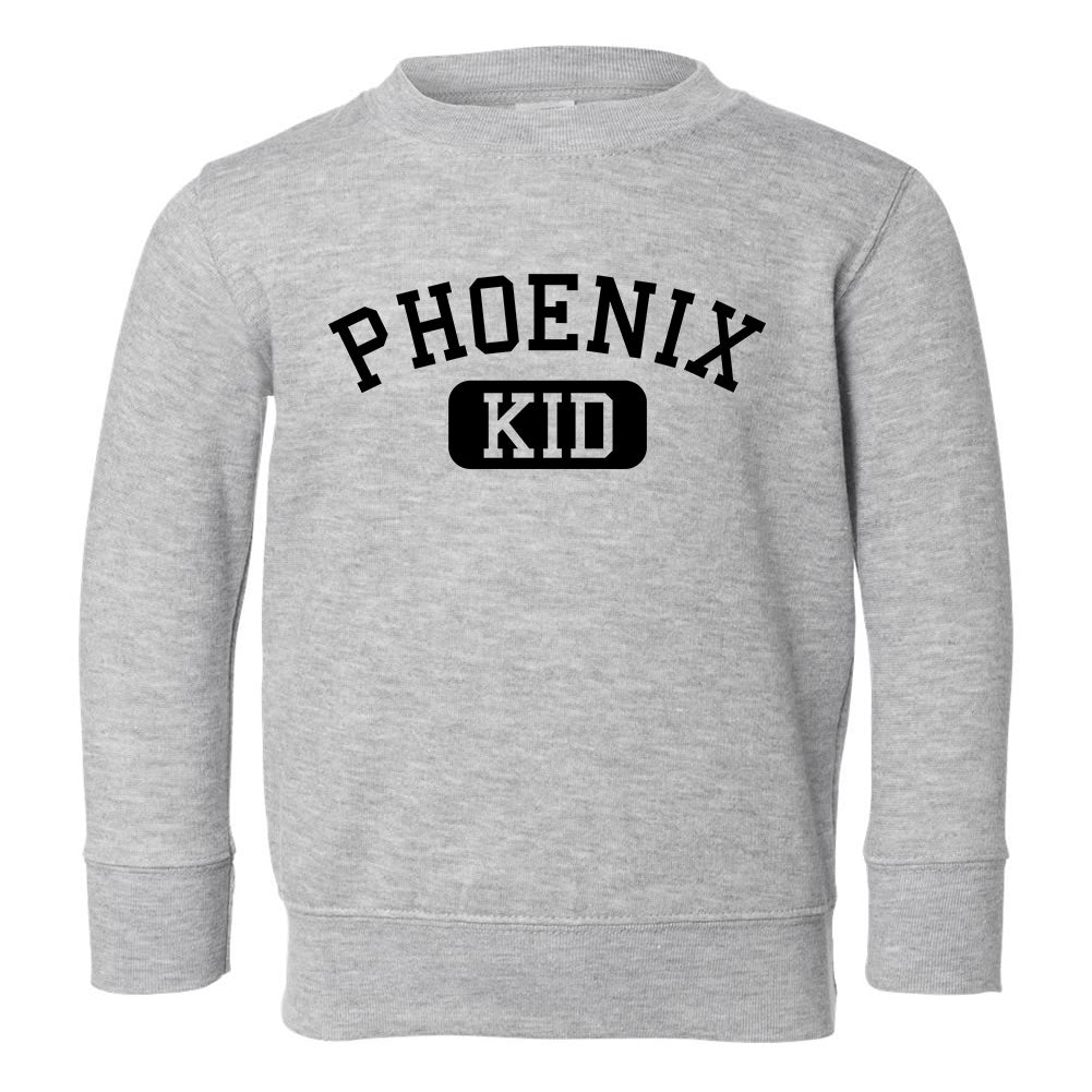 Phoenix Kid Arizona Toddler Boys Crewneck Sweatshirt Grey