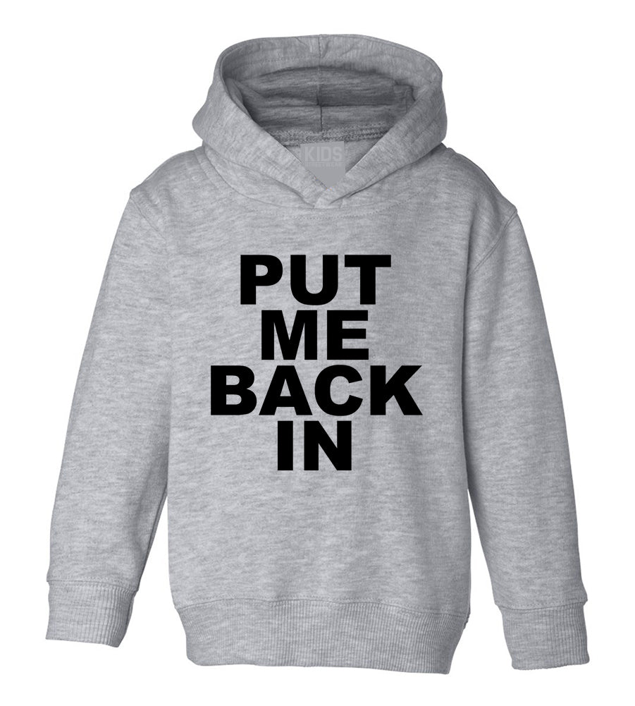 Put Me Back In Toddler Boys Pullover Hoodie Grey