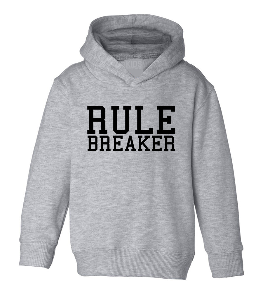 Rule Breaker Toddler Boys Pullover Hoodie Grey