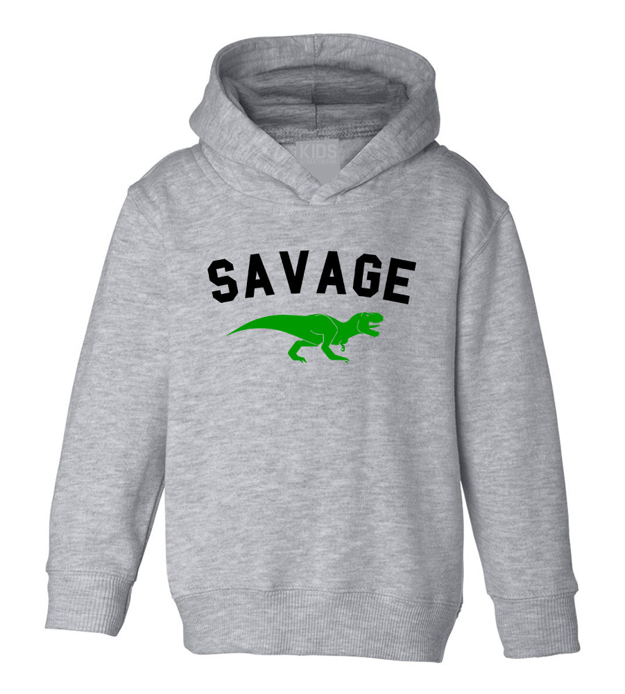 Savage Dinosaur Toddler Boys Pullover Hoodie Grey