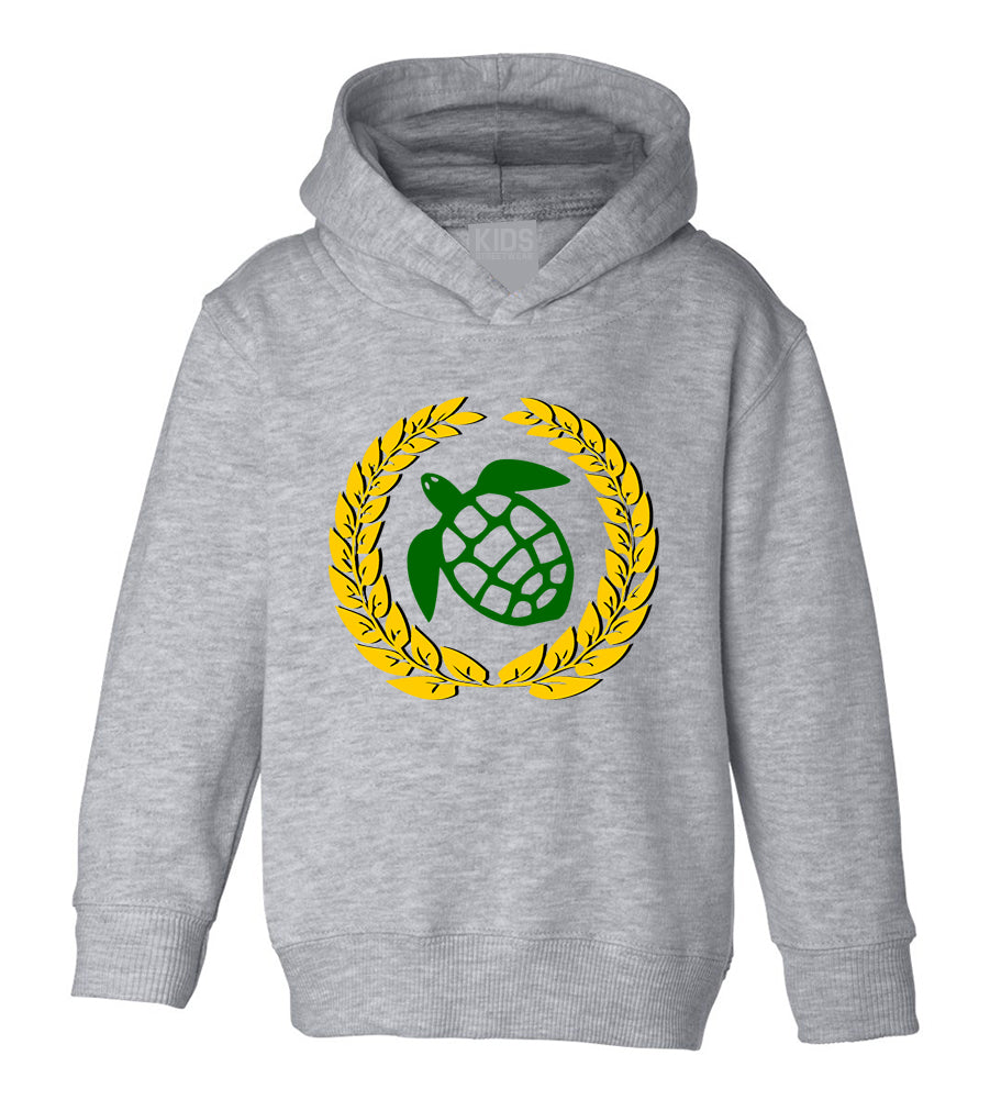 Sea Turtle Emblem Toddler Boys Pullover Hoodie Grey