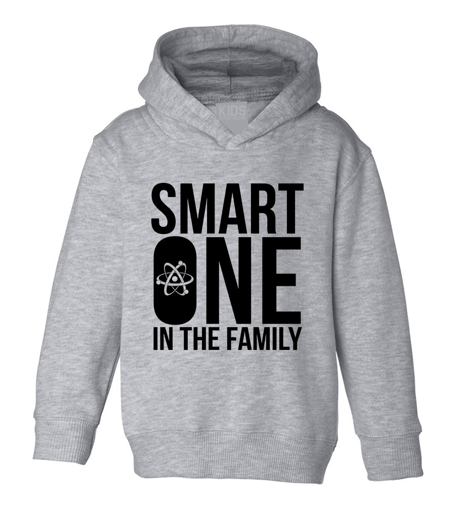 Smart One In The Family Toddler Boys Pullover Hoodie Grey