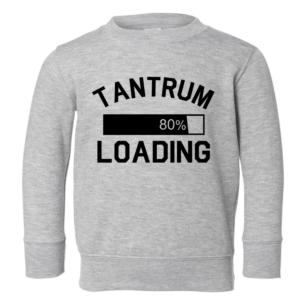 Tantrum Loading 80 Percent Toddler Boys Crewneck Sweatshirt Grey