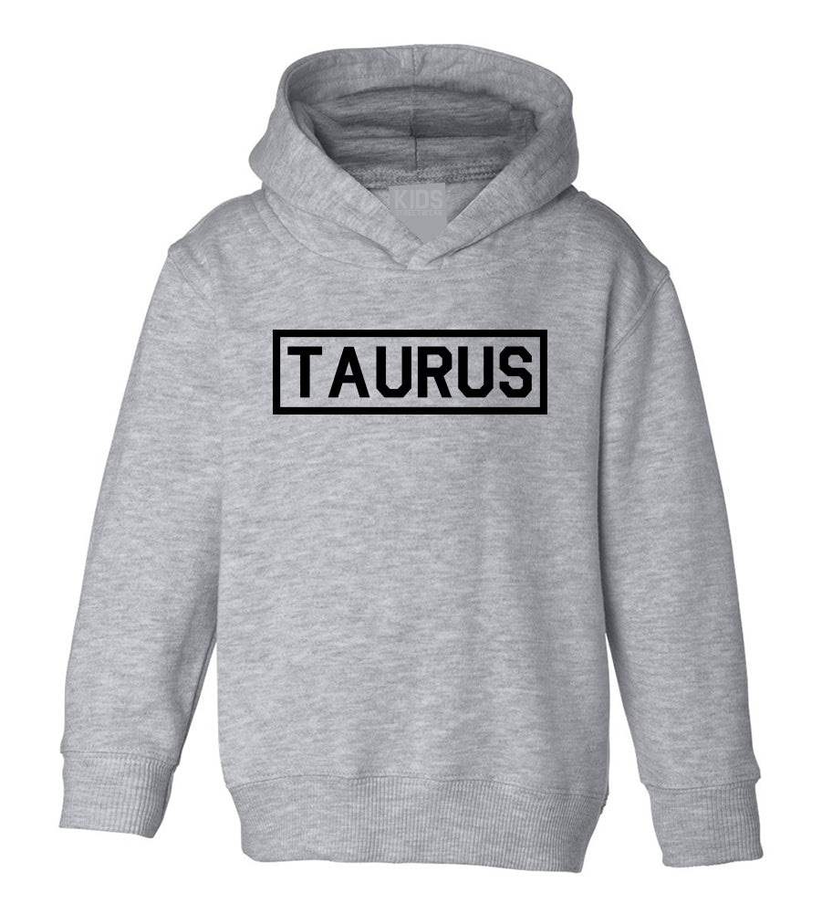 Taurus Horoscope Sign Toddler Boys Pullover Hoodie Grey
