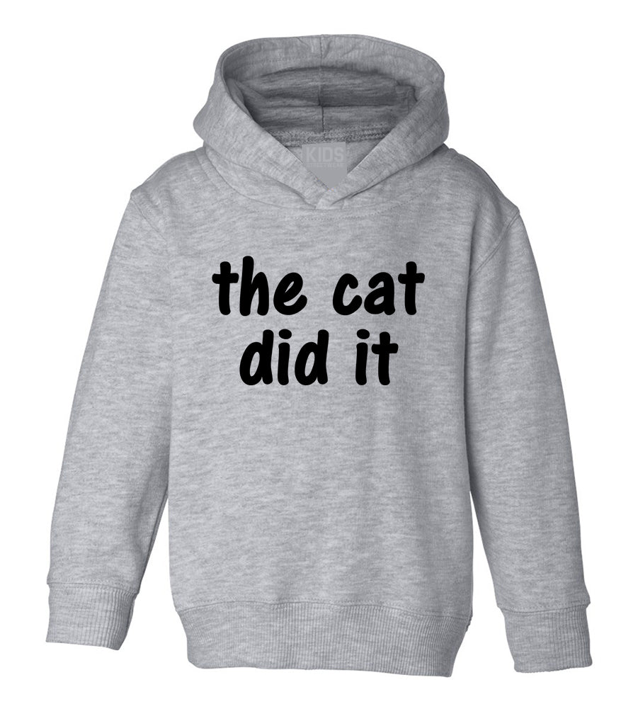 The Cat Did It Toddler Boys Pullover Hoodie Grey