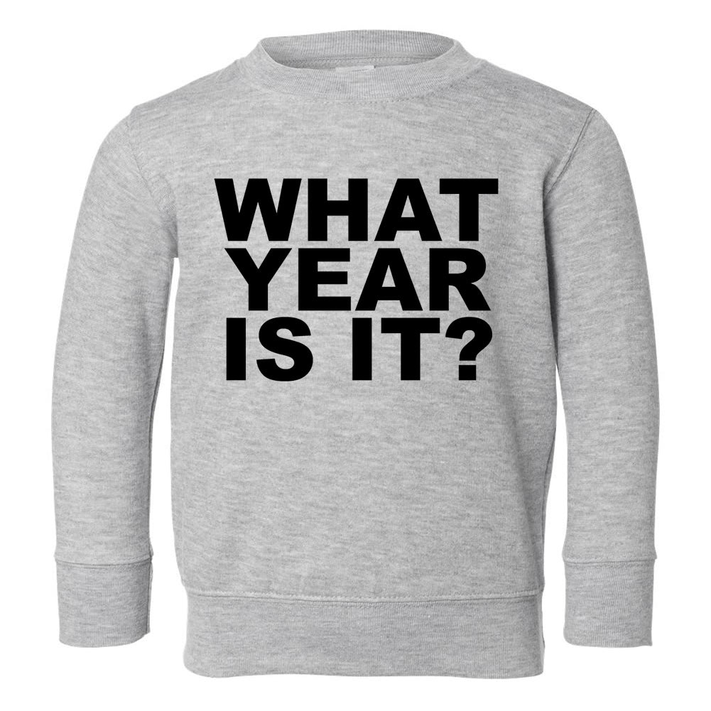 What Year Is It Birth Toddler Boys Crewneck Sweatshirt Grey