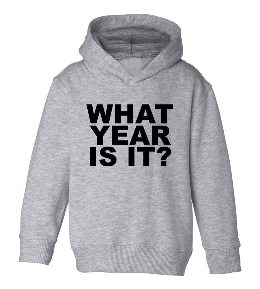 What Year Is It Birth Toddler Boys Pullover Hoodie Grey