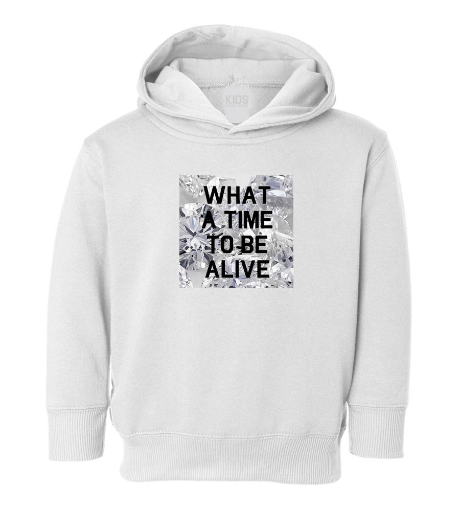 What A Time To Be Alive Toddler Kids Pullover Hoodie Hoody in White