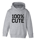 100 Percent Cute Toddler Boys Pullover Hoodie Grey