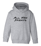 All New Friends Toddler Boys Pullover Hoodie Grey