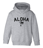 Aloha Palm Tree Toddler Boys Pullover Hoodie Grey