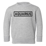 Aquarius Zodiac Sign Toddler Boys Crewneck Sweatshirt Grey