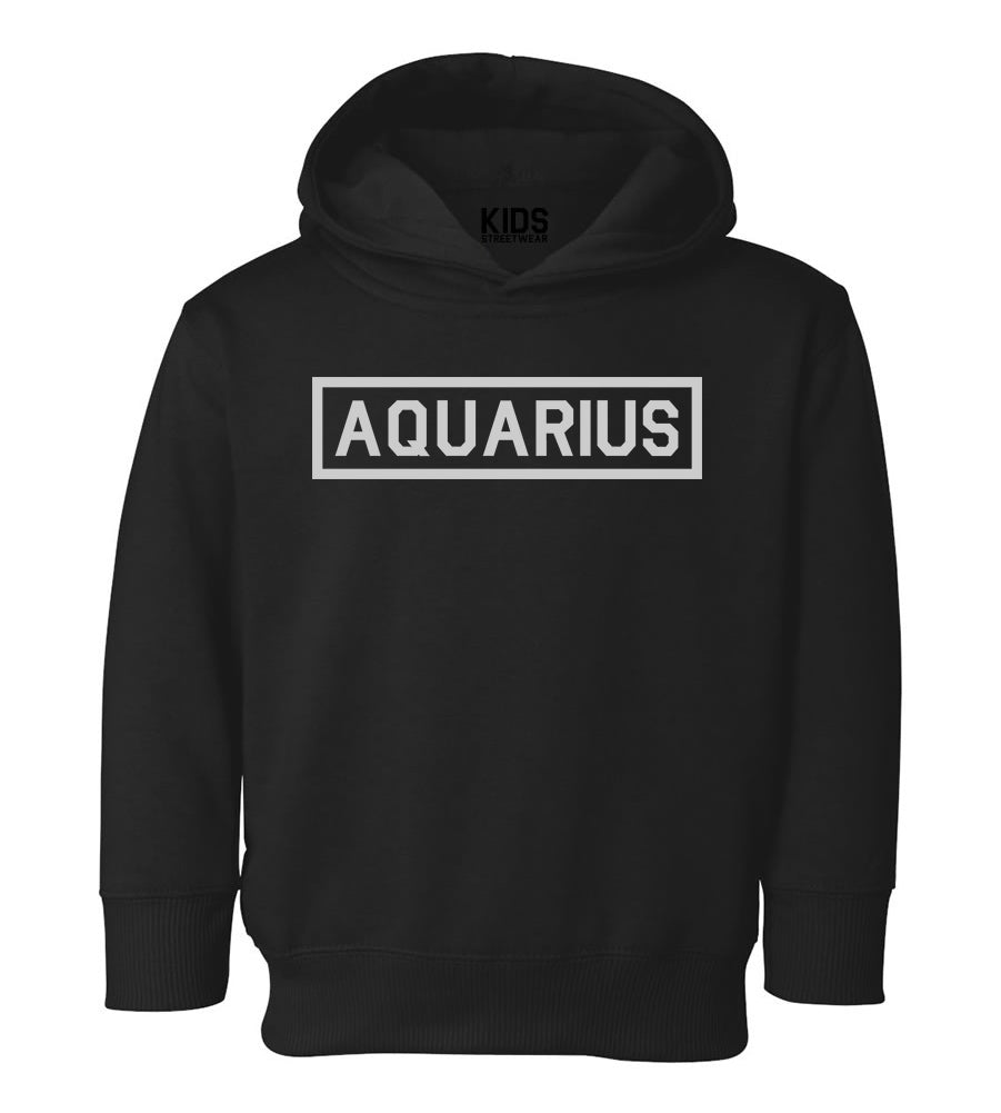 Aquarius Zodiac Sign Toddler Boys Pullover Hoodie Black