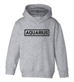 Aquarius Zodiac Sign Toddler Boys Pullover Hoodie Grey