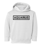 Aquarius Zodiac Sign Toddler Boys Pullover Hoodie White