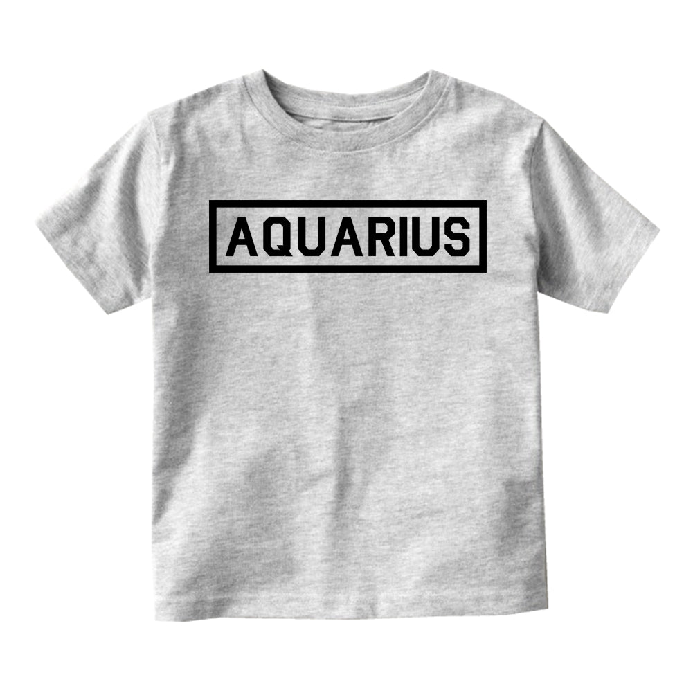 Aquarius Zodiac Sign Toddler Boys Short Sleeve T-Shirt Grey