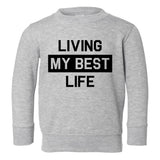 Best Life Toddler Boys Crewneck Sweatshirt Grey
