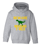 Beware Missing T Rex Funny Dinosaur Toddler Boys Pullover Hoodie Grey