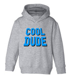 Blue Cool Dude Toddler Boys Pullover Hoodie Grey