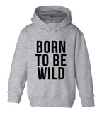 Born To Be Wild Toddler Boys Pullover Hoodie Grey
