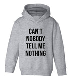 Cant Nobody Tell Me Nothing Toddler Boys Pullover Hoodie Grey