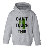 Cant Touch This Cactus Toddler Boys Pullover Hoodie Grey