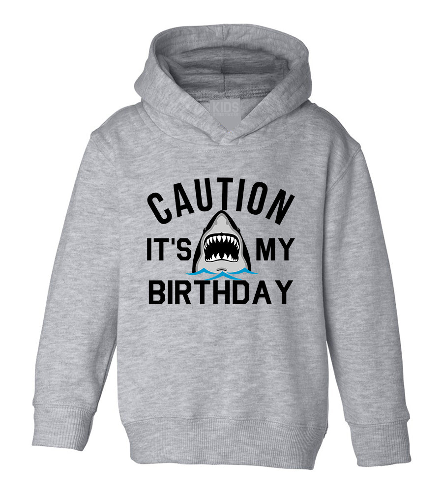 Caution Its My Birthday Shark Toddler Boys Pullover Hoodie Grey