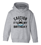 Caution Its My Birthday Shark Toddler Boys Pullover Hoodie Grey